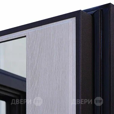 Входная металлическая Дверь Шелтер (SHELTER) Филадельфия Зеркало в Истра