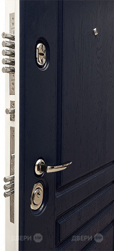 Входная металлическая Дверь Сударь МД-45 в Истра