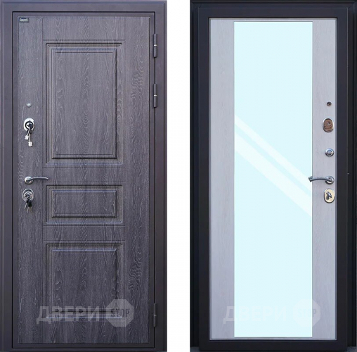 Входная металлическая Дверь Шелтер (SHELTER) Филадельфия Зеркало в Истра